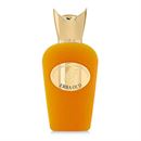 SOSPIRO Erba Oud EDP 100 ml